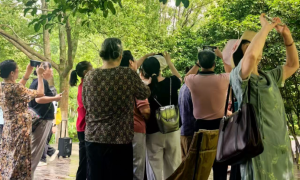 “影”为媒 情更浓《幸福好时光》摄影分享课点燃月湖公园热情